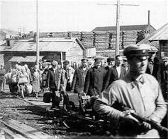 Image - A concentration camp in the Solovets Islands (1930s).